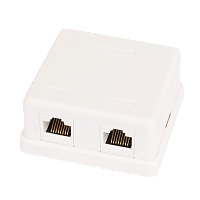 Настенная розетка NETLAN, 2 порта, Кат.5e (Класс D), 100МГц, RJ45/8P8C, 110, T568A/B, неэкранированная, белая, уп-ка 10шт.