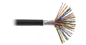 Кабель NETLAN U/UTP 50 пар, Кат.5 (Класс D), 100МГц, одножильный, BC (чистая медь), внешний, PE до -40C, черный, 305м