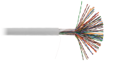Кабель NETLAN U/UTP 50 пар, Кат.5 (Класс D), 100МГц, одножильный, BC (чистая медь), внутренний, PVC нг(B), серый, 305м