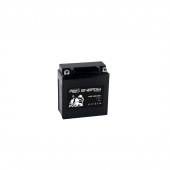 Аккумуляторная батарея Delta RS 1205.1