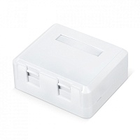 Корпус настенной розетки для установки 2-х вставок типа Keystone Jack, цвет белый