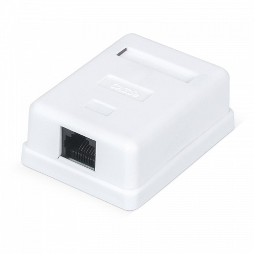 WR-WS-8P8C-C5E-1