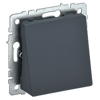 BRITE Вывод кабеля МВ10-БрГ граф. IEK