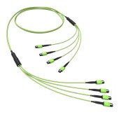 Сборка OM5 4xMTP(12)m-4xMTP(12)m B 40 м