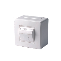Коробка в сборе с 2 розетками RJ45, кат.5е  (телефон / компьютер), белая
