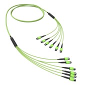 Сборка OM5 6xMTP(12)m-6xMTP(12)m B 500 м