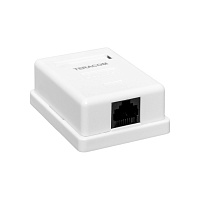 Розетка настенная TERACOM Cat.5E неэкранированная 1 порт RJ-45 Dual IDC белая
