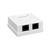 Розетка настенная TERACOM PRO Cat.6 неэкранированная 2 порта RJ-45 Dual IDC белая