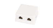 Настенная розетка NETLAN, 2 порта, Кат.5e (Класс D), 100МГц, RJ45/8P8C, 110, T568A/B, неэкранированная, белая, уп-ка 10шт.