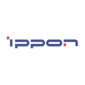 Источник бесперебойного питания Ippon Pacific 1000 900Вт 1000ВА черный