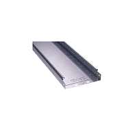 Лоток 300х100 L3000