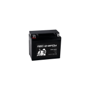 Аккумуляторная батарея Delta RS 1212