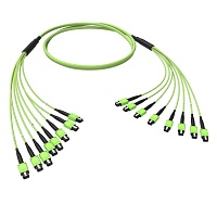 Сборка OM5 6xMTP(12)m-6xMTP(12)m B 100 м