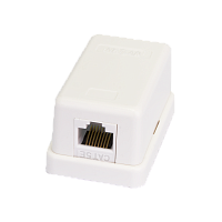 Настенная розетка NETLAN, 1 порт, Кат.5e (Класс D), 100МГц, RJ45/8P8C, 110, T568A/B, неэкранированная, белая, уп-ка 10шт.