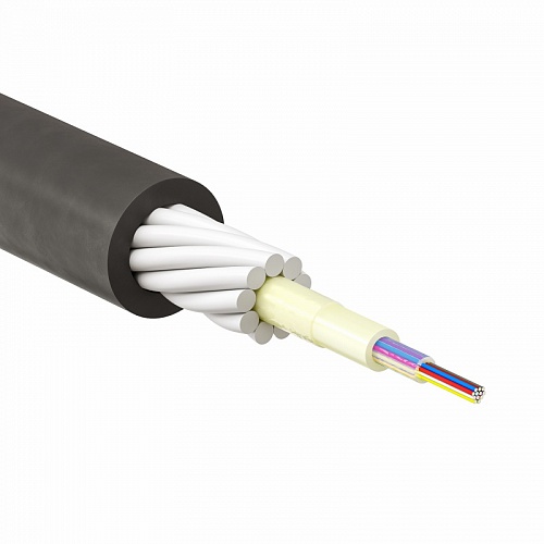 RNPW8UT2C2401