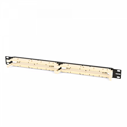 110C-19-100P-1U
