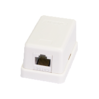 Настенная розетка NETLAN, 1 порт, Кат.5e (Класс D), 100МГц, RJ45/8P8C, 110, T568A/B, неэкранированная, белая, уп-ка 10шт.