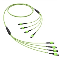 Сборка OM5 4xMTP(12)m-4xMTP(12)m B 500 м