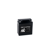 Аккумуляторная батарея Delta RS 1205.1