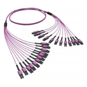  Оптическая разветвительная сборка 24ОВ 50/125 OM4, 12хLC Duplex Uniboot/12хLC Duplex Uniboot, 10м