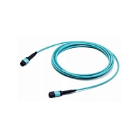 Патч-корд волоконно-оптический MPO (мама) - MPO (мама), тип B, 12 волокон, 50/125 (OM4), 40/100G, LSZH, 3 м