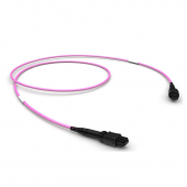 Шнур ШОС-MM/OM4/3.0  мм-MPO12f-MPO12f-A-1.0  м female-female type A