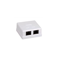 ITK Настенная информационная розетка RJ45 8P8C, кат.5Е UTP, 2-порта, белая