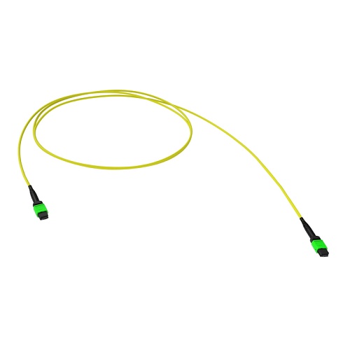 RNPC16S02