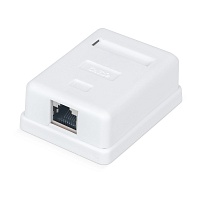 Розетка компьютерная RJ-45, категория 5e, экранированная, одинарная, внешняя, Dual IDC, цвет белый