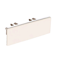 DLPLЗаглушка торц. к-к 60х20