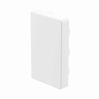 LAN 80x60 Заглушка(розница, 2 шт в пакете)