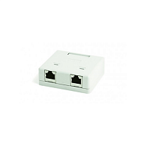 Розетка компьютерная RJ-45(8P8C), категория 5e, экранированная, двойная, внешняя, Dual IDC