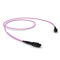 Шнур ШОС-MM/OM4/3.0  мм-MPO12f-MPO12f-A-20.0  м female-female type A