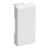 Заглушка на 1 модуль.