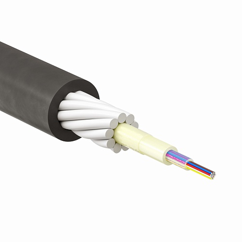 RNPW8UT2C801