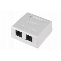 Розетка компьютерная 2-порт RJ-45 (8P8C), cat 5e, внешняя  REXANT