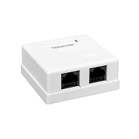 Розетка настенная TERACOM Cat.5E неэкранированная 2 порта RJ-45 Dual IDC белая