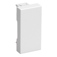 Заглушка на 1 модуль.