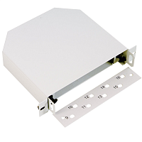 Бокс оптический ST 10"