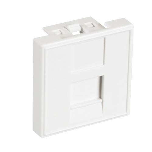 EC-IMF-1-WT-10