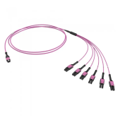  Оптическая разветвительная сборка 12ОВ 50/125 OM4, 1xMTP PRO(12)/6хLC Duplex Uniboot, 2м (предустановленная конфигурация: MTP Male , тип полярности -