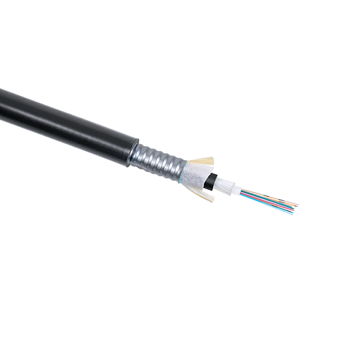 CLT-A-6-01X24-Z-PE-ARM-PE-DD-OUT-40