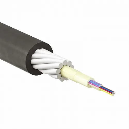 RNPW8UT2C2401